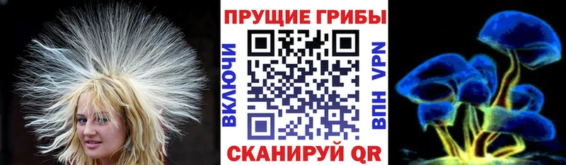 Галлюциногенные грибы GOLDEN TEACHER  shop Telegram  Екатеринбург 